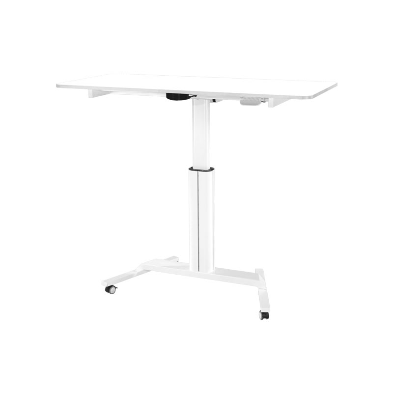 Mobile Height Adjustable Table